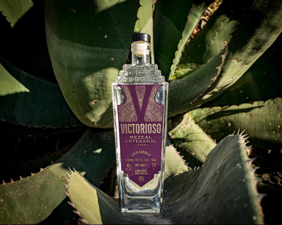 Mezcal Victorioso: De Oaxaca a la conquista del mercado&nbsp;dominicano